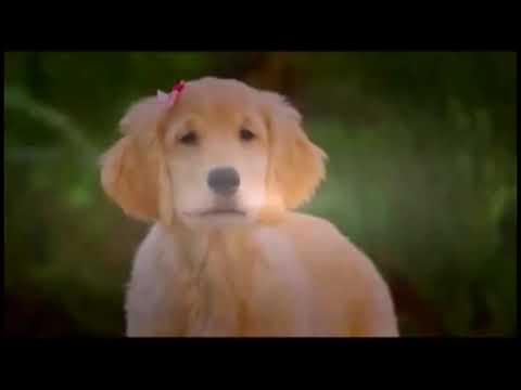 Fulistasia Part 9 - At Janja's Lair