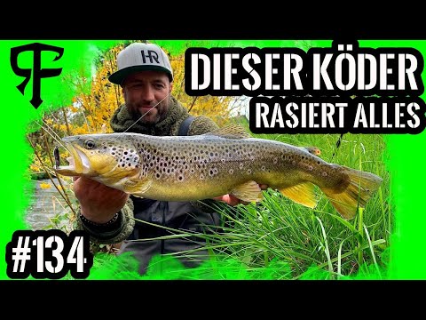 PERSONAL BEST ALARM | This Creek is full of BIGTrouts