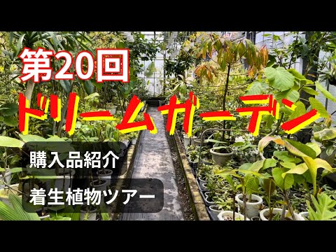 jardin-papillons-belle-nuit-plante-fleurs-délicates-colorées