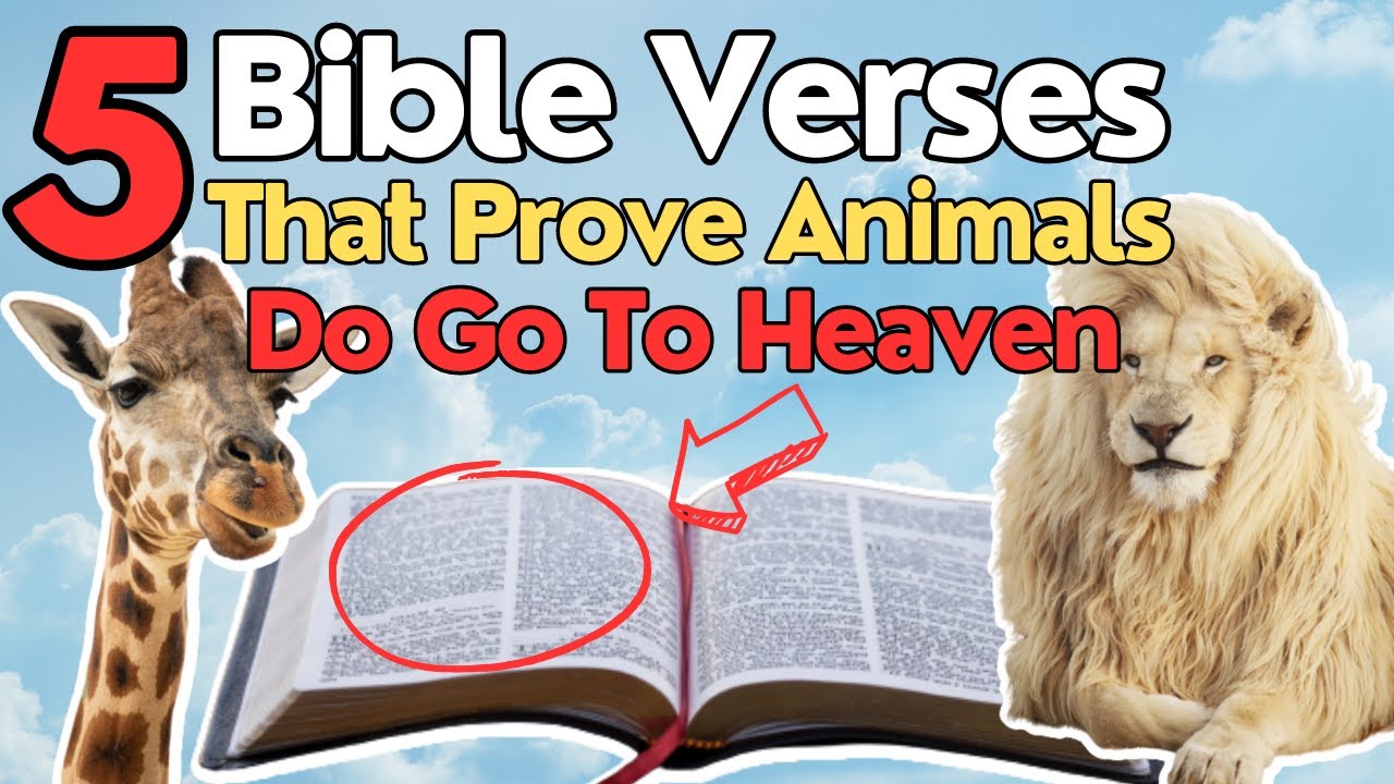 5 BIBLE VERSES That PROVE Animals DO Go to Heaven!
