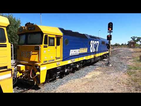 8146, 8140 & 8137 LE Parkes NSW.  Sat 18th Mar 2023