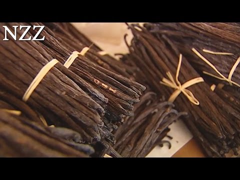 Vanille: Königin der Gewürze - Dokumentation von NZZ Format (2007)