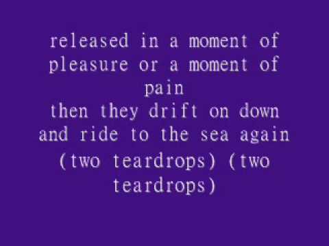 Steve Wariner- Two Tear Drops