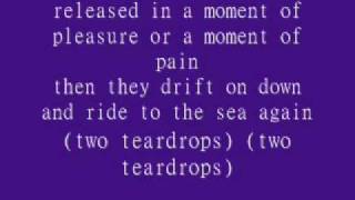 Steve Wariner- Two Tear Drops