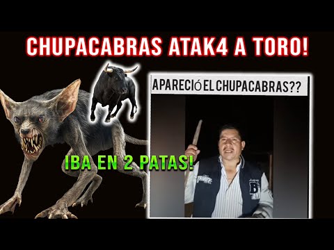 CHUPACABRAS AT4KA DE nuevo en RÍO LINDO COMITANCILLO SAN MARCOS FUE A UN TORO 🐂 
