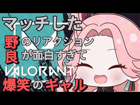 VALORANT爆笑シーン切り抜き