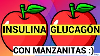 INSULIN AND GLUCAGON WITH MANZANITAS