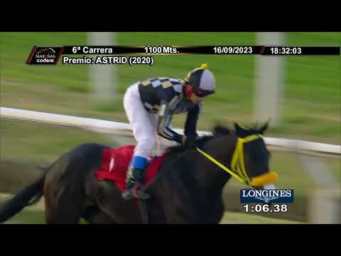 230916 c06 LA VIE BELLE (BRZ)