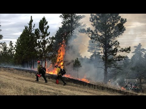 Bobcat Fire Mitigation Work