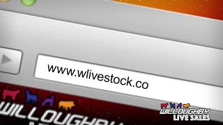 Willoughby Live Sales- Registration made EASY!