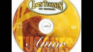 los tucanes de tijuana el mambo del bigote.wmv