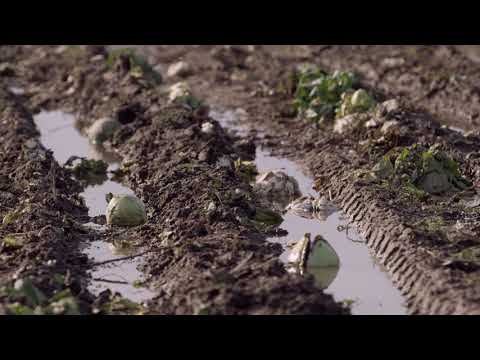 Jorden vi ärvde - En glömd resurs? (Trailer)