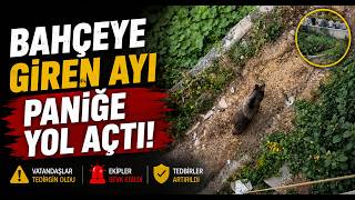  Bahçeye Giren Ayı Paniğe Yol Açtı