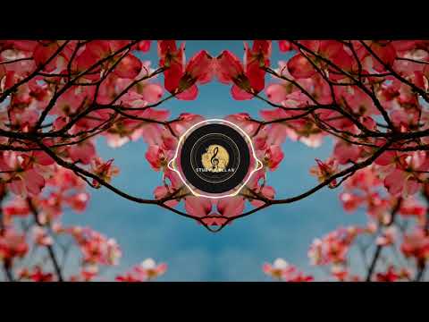 [ROYALTY FREE MUSIC] Sao Meo Orchestral Mix - Doug Maxwell,Zac Zinger, Chinese Music, Sleeping Songs