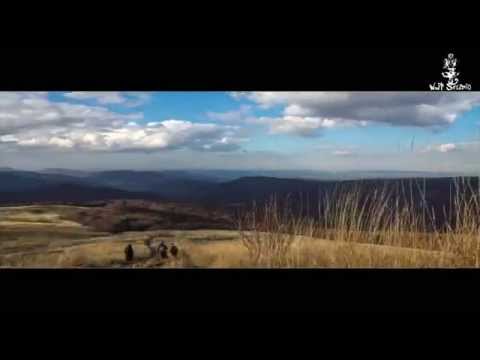 Nawrot NwT - W 1000 Światów [Video]