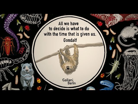 "Wir sind im Homeoffice, aber unsere Bücher sind da". Galiani Berlin zur Frankfurter Buchmesse 2020