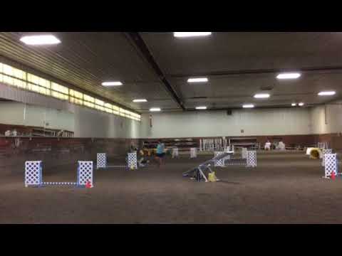 Shera snooker - Aug. 27, 2017