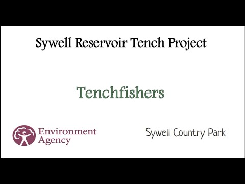 Sywell Reservoir Tench Project - Spawning Survey 2021