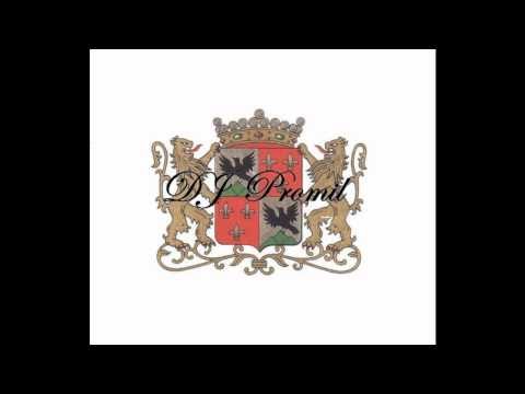 Dj Promil - Gij Zij Zot! (original mix)