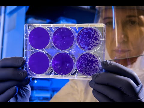 Introduction to Mass Transfer Operations Trailer