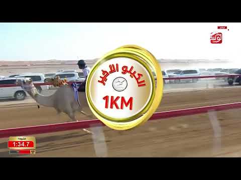 Al ش 1 (النايد) لـ محمد عمير محمد الراشدي 2:54:90 , ختامي العين 2026/10/03 السباق التراثي الروضة   1