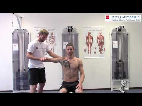 Schultergelenk - infraspinatustest