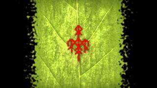 Wardruna - "NaudiR" (live Paris 2013)