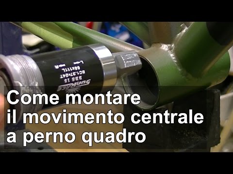 Trattamento Potentilla del rachide cervicale Come organizzare la circolazione del rachide cervicale