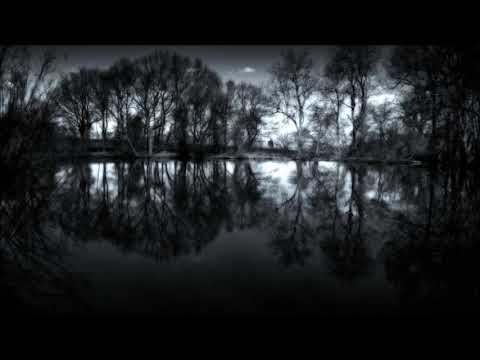 This Will Destroy You / Tunnel Blanket Full Album