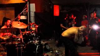 Recession - Exhuming The Disemboweled (cover)