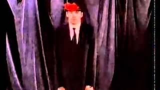 THE DOUG ANTHONY ALLSTARS ~ I Wanna Spill the Blood of a Hippie (1990)