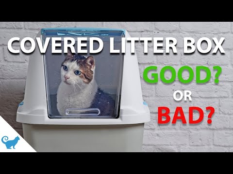 Are covered litter boxes bad for cats? | Cat Behavior 101