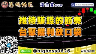 【大戶羅盤籌碼動能】 #謝宗霖0911，維持賺錢的節奏 台聚獲利放口袋 (圖)
