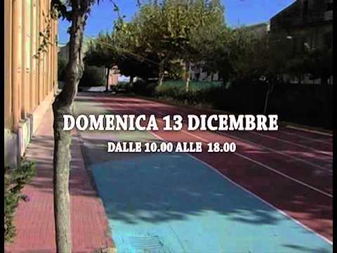 Immagine anteprima YouTube
