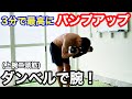 【3分で最高のパンプ】腕(上腕二頭筋)をダンベルで鍛える!!