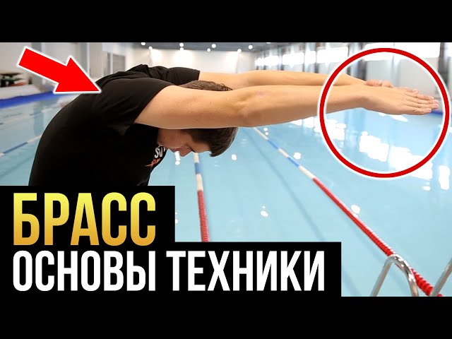 бассейны москвы преображенская площадь
