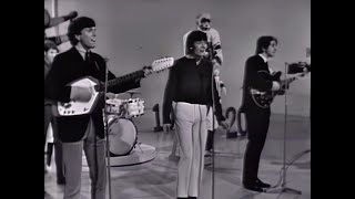 NEW * Look Through Any Window - The Hollies {Stereo} 1965