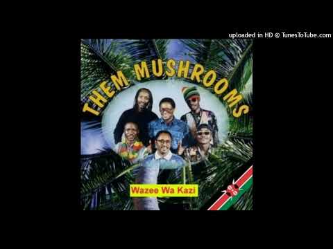 Them Mushrooms – Nimfuge Ndege Gani (Official Audio) | Blue Pie Records | Afro‑Rock