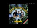 Them Mushrooms – Nimfuge Ndege Gani (Official Audio) | Blue Pie Records | Afro‑Rock