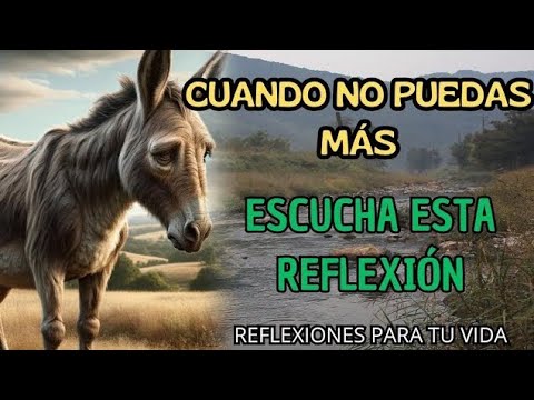 Cuando SIENTAS Que NO PUEDES Más | Una Reflexión Que Cambiará Tu Día | reflexión gratitud motivación