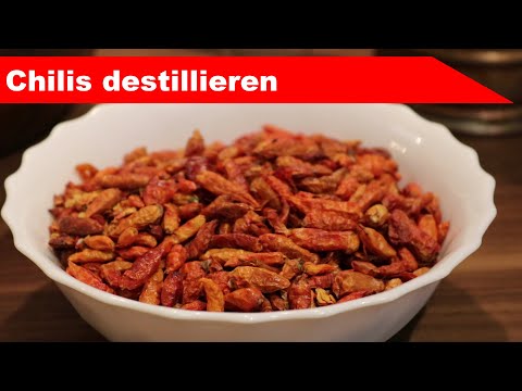 🌷 Chilis destillieren 🌻 - bekommen wir die Schärfe ins Hydrolat?  - diSTILLed