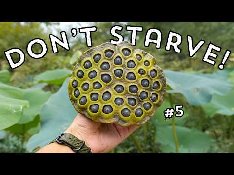 5 TOP WILD Foods to Forage to Keep You From STARVING!