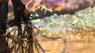 Guerilla Toss - First Blood