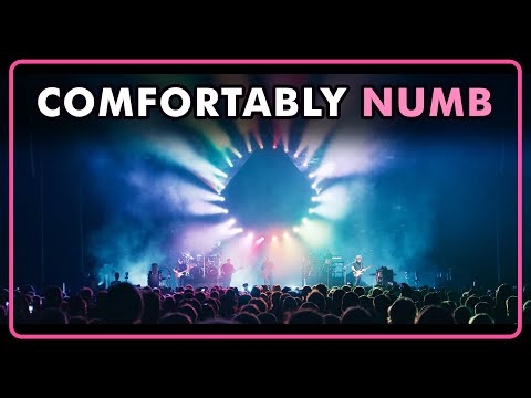 Pink Floyd's Comfortably Numb From The Wall - Performed By The Australian Pink Floyd Show