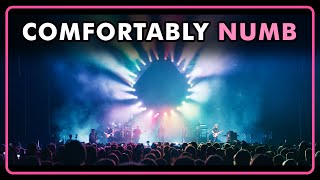 Music video thumbnail preview for Pink Floyd's Comfortably Numb From The Wall - Performed By The Australian Pink Floyd Show by The Australian Pink Floyd Show