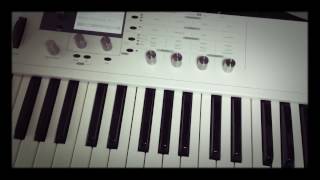 waldorf blofeld keyboard /RC-505