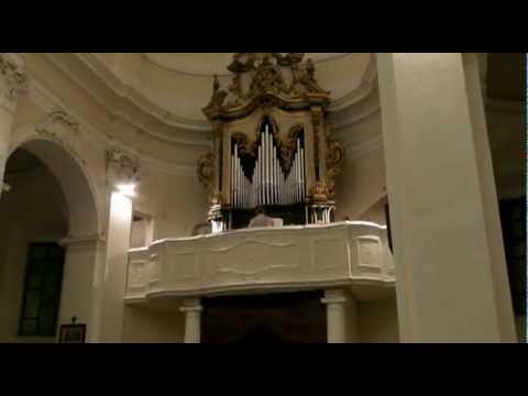 Palena 7 agosto 2012 - Chiesa Madonna del Rosario - Milko Bijak - Concerto organo