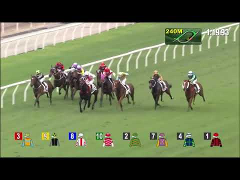 7/5/2022 (651) Looking Cool - K Teetan