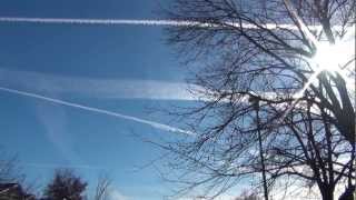 Straight Up Random - Gratifying