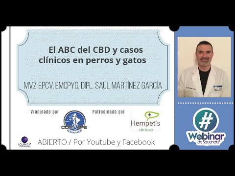 El ABC Del CBD Y Casos Clínicos En Perros Y Gatos - MVZ Saúl Martínez García